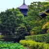 蓮池より五重塔を望む