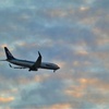 夕空の中を帰るANA
