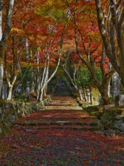 鶏足寺（けいそくじ）