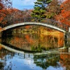 大沼国定公園