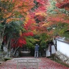 西林寺　モミジの参道