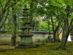 相国寺の庭