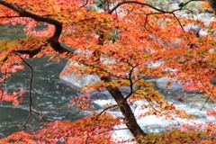 香嵐渓の秋