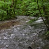 奥入瀬を歩く（４）
