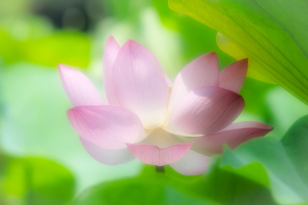 静穏