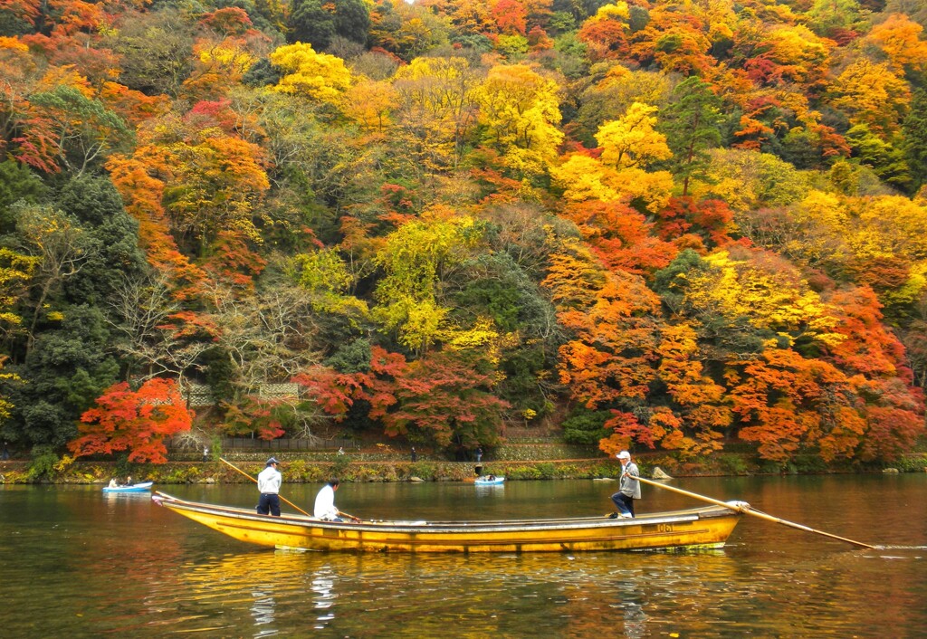 嵐山の秋