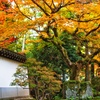 南禅寺紅葉