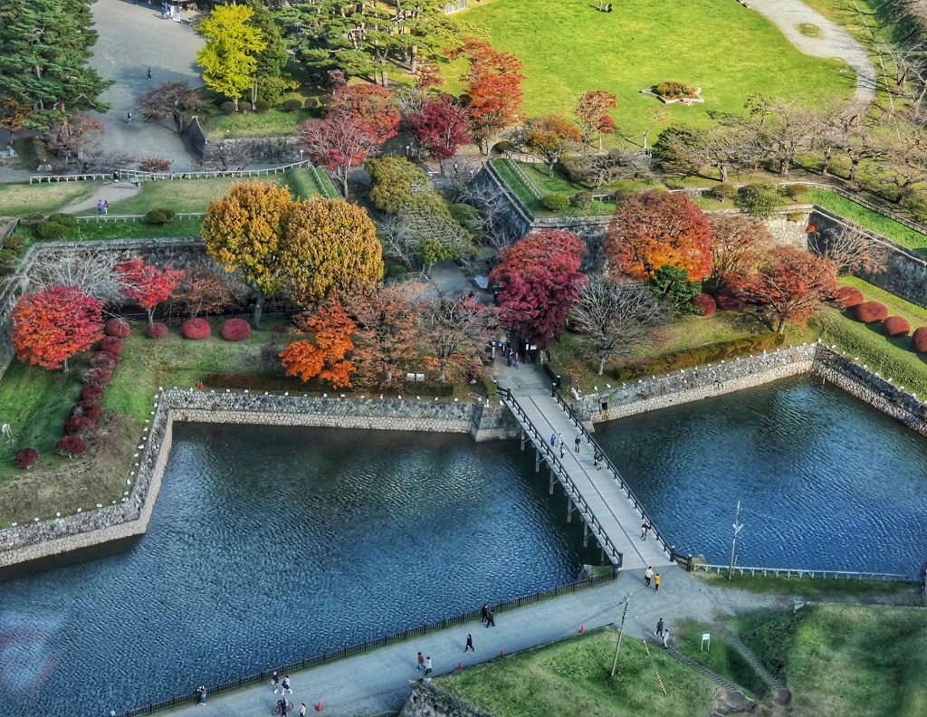 五稜郭タワーより