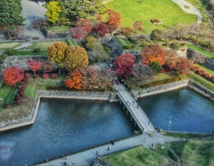 五稜郭タワーより