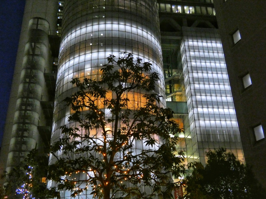 夜の梅田ぶらり歩き（１３）
