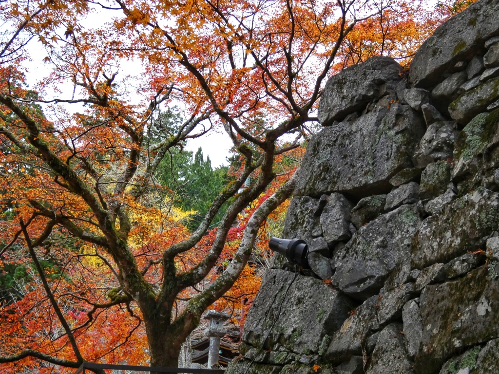 談山神社にて