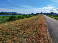 夏仕様の淀川