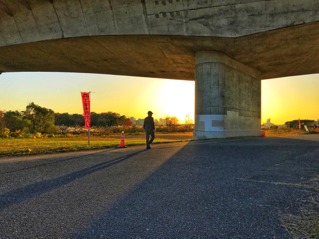 夕散歩