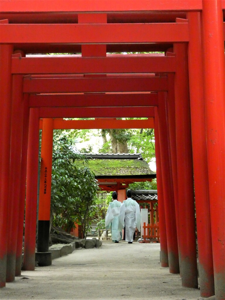 住吉神社⑧　ご出勤