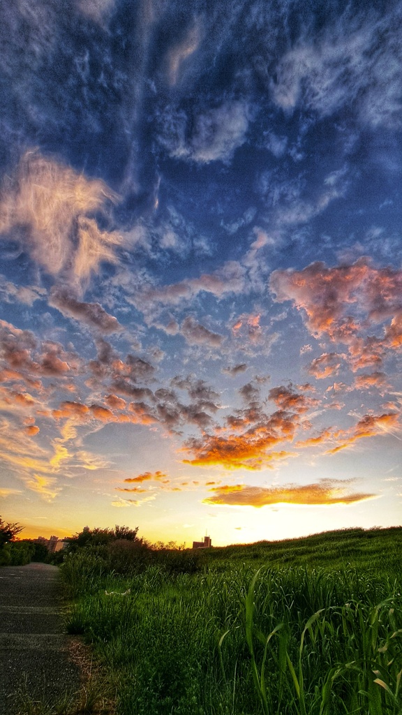 淀川の夕空