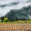 朝靄