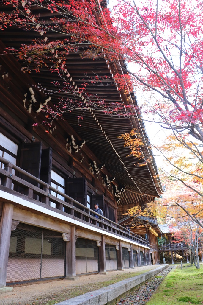 光明寺
