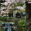 小さな滝の有る風景