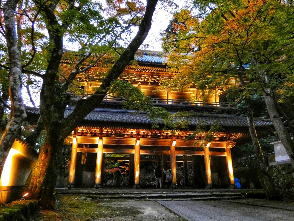 永源寺ライトアップ