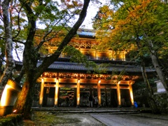 永源寺ライトアップ