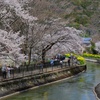 山科疏水