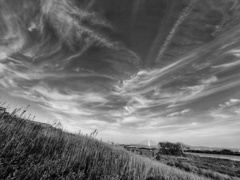 美雲