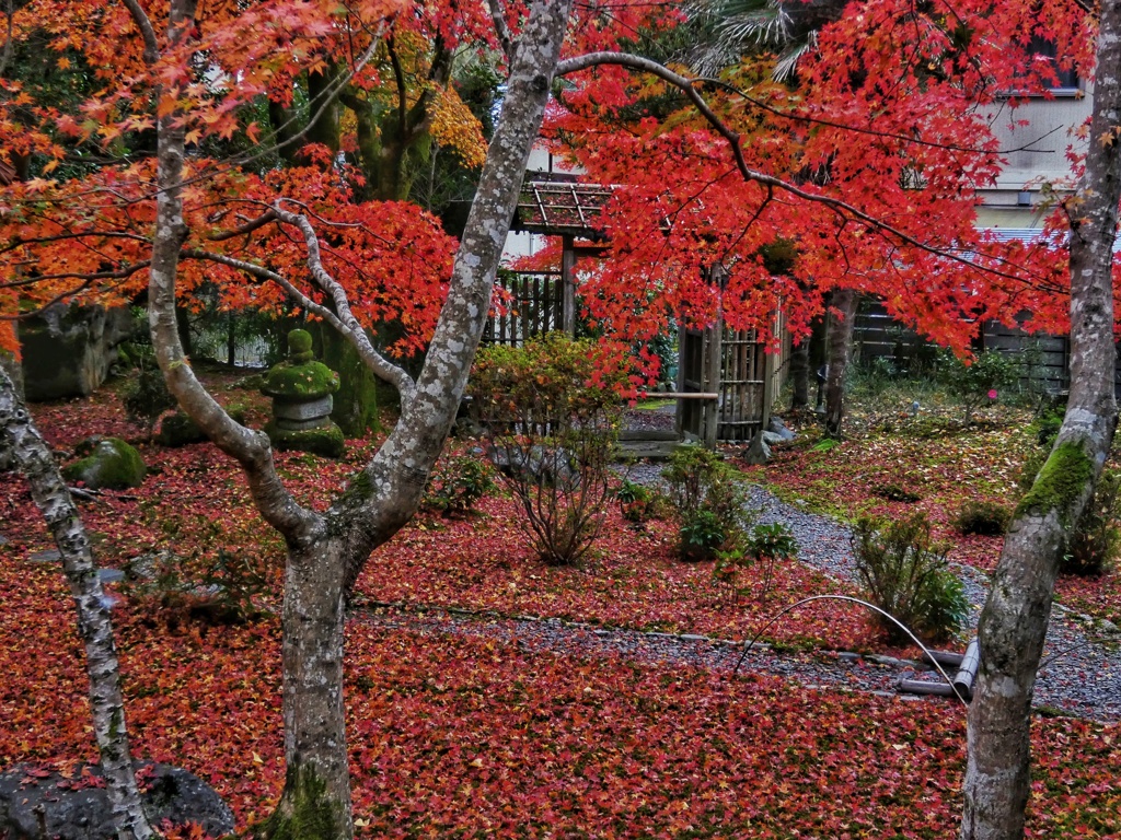 とある京都の寺院