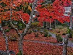 とある京都の寺院