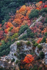 紅葉と奇岩