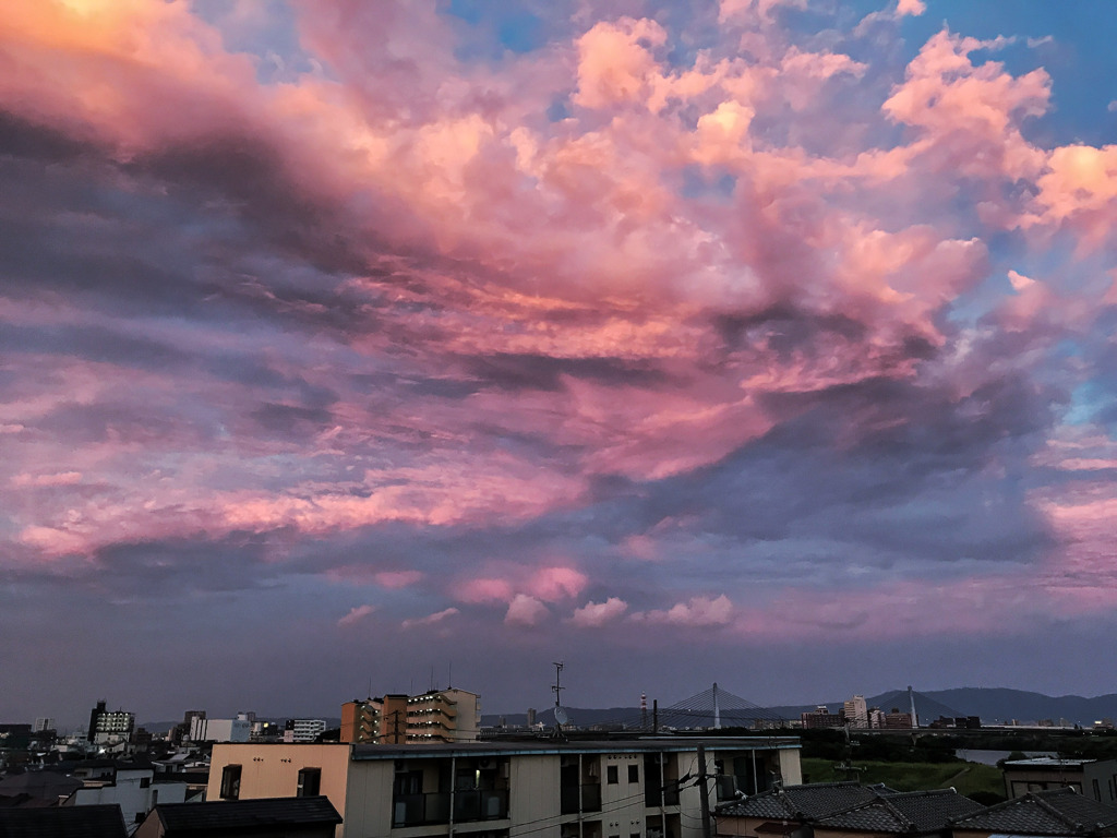 東の夕空