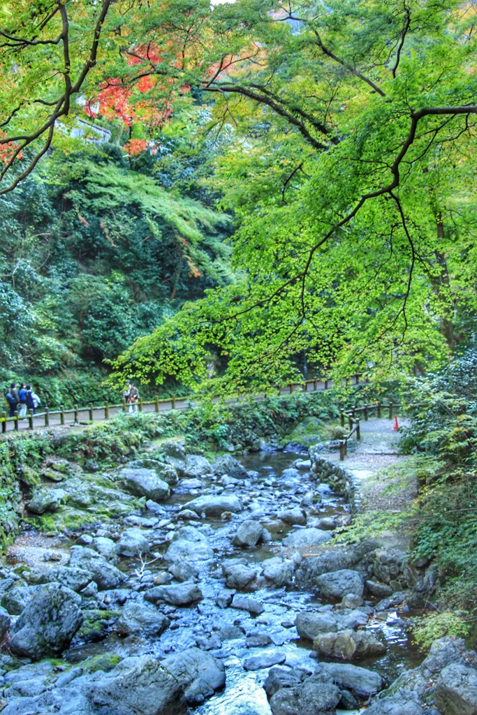 秋を待つ箕面公園