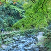 秋を待つ箕面公園