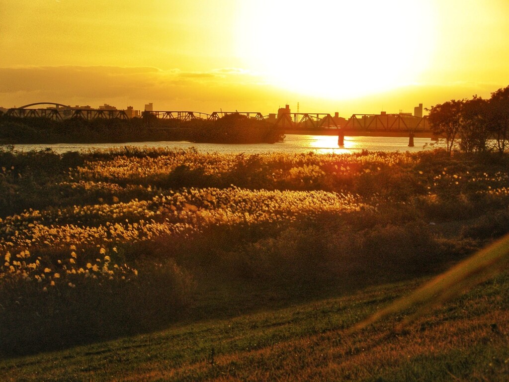 淀川夕景