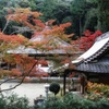 西林寺の秋
