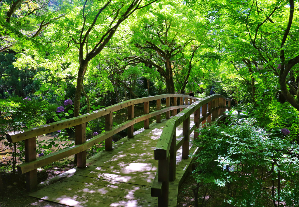 湯布院　金鱗湖③