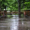 雨上がり