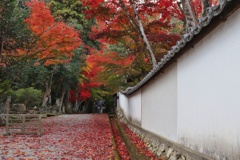 西林寺参道