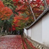 西林寺参道
