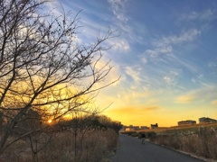 淀川夕景