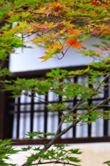 夏のち所により秋