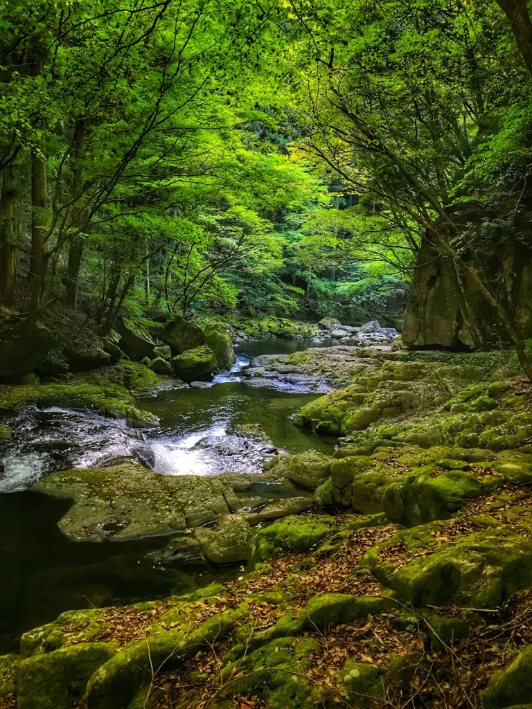 苔むす渓流