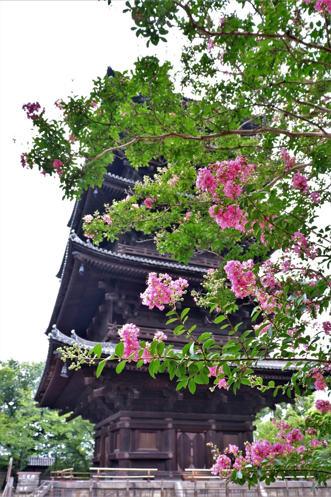 東寺　五重塔