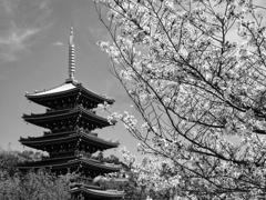 中山寺