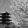 中山寺