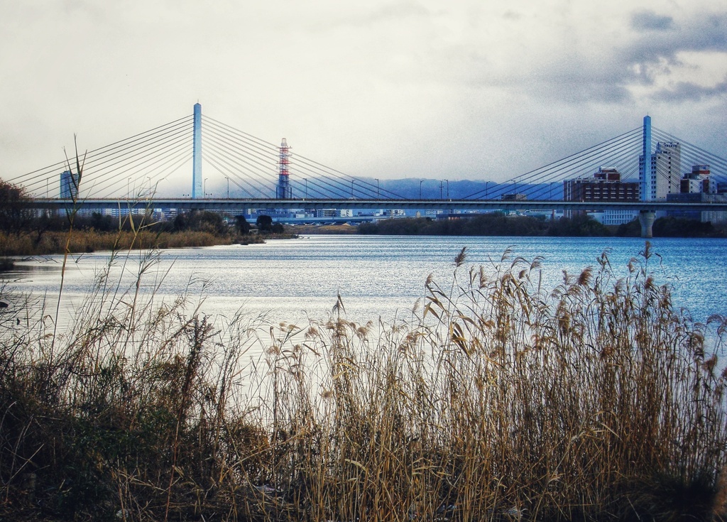 淀川寸景
