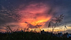 淀川夕空