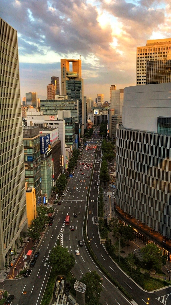 夕暮れの大阪御堂筋