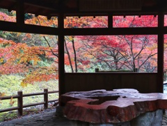 東屋からの紅葉