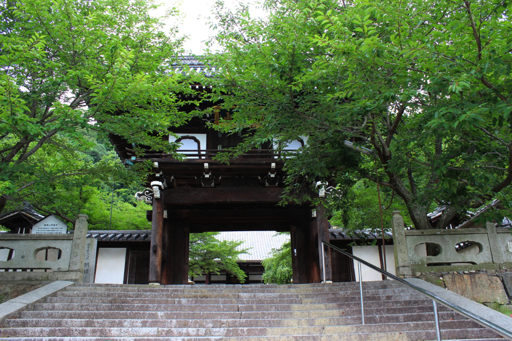 照蓮寺　山門（竹原市）