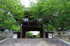 照蓮寺　山門（竹原市）